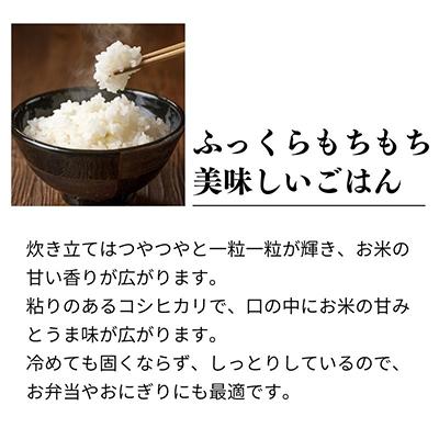 ふるさと納税 糸魚川市 新潟県糸魚川産コシヒカリ 2kg 農家自慢の特選米『ひすいの里』全6回