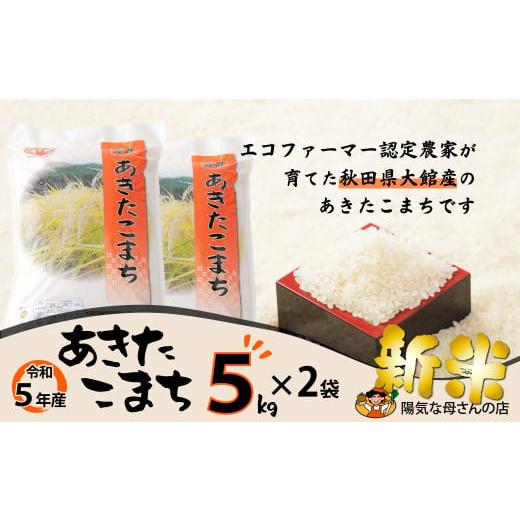 ふるさと納税 秋田県 大館市 75P9007 あきたこまち10kg(5kg×2)