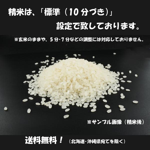 米 お米 5kg ヒノヒカリ 100% 令和5年 兵庫県産 白米 精米 新米 ハートフル ひのひかり 送料無料