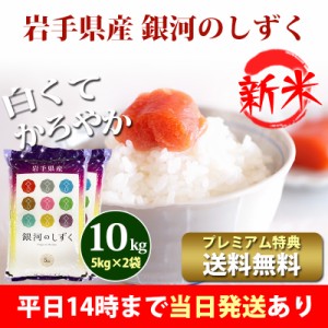 新米 米 10kg 岩手県産 銀河のしずく 1等米 5kg×2袋 令和5年産 お米 10kg プレミアム特典 送料無料 北海道・沖縄配送不可 即日発送 クー