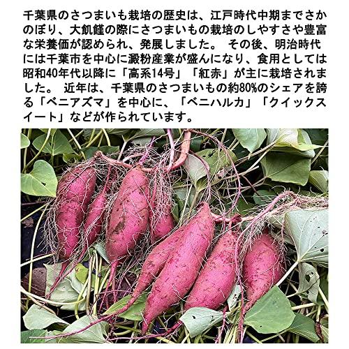 さつまいも 紅はるか 紅東 又はシルクスイート ５KG サツマイモ 焼き芋に 千葉茨城県産地厳選 A品 美味しい やきいもに 食物繊維 美容 スイーツ