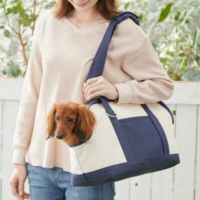 Toto Pal 10カラーキャリーバッグ グリーン Sサイズ ボックス トート 犬用 通販 Lineポイント最大get Lineショッピング