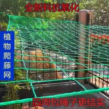 植物爬藤網 棚架網 絲瓜網 搭架網 栽培網 園藝網 花卉爬藤網 蔞攀爬網 苦瓜網 吊瓜網 百香果網 攀藤網# c886t