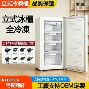 🔸臺灣熱銷🔸冰櫃 冷凍櫃 立式帶抽屜冰櫃 冷凍櫃 迷你母乳冷櫃 deepfreezer冷凍冰櫃