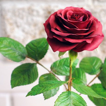 手工製作的紅玫瑰花。花瓶的單朵玫瑰。真正的觸摸玫瑰。紅玫瑰花