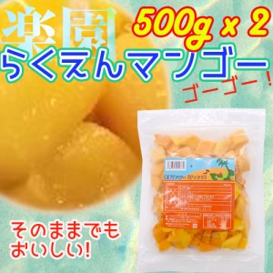 楽園マンゴー 冷凍 1kg 500gx2 チャンク バルク そのままでもおいしい　まったり スムージー ラッシー パフェ デザート