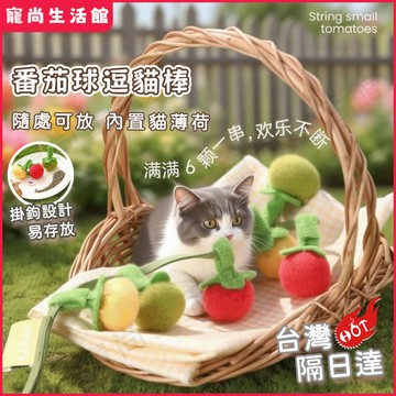 【台灣現貨】番茄逗貓棒 逗貓棒 貓咪玩具 福丸番茄逗貓棒 耐咬 貓咪玩具逗貓棒 自嗨解悶神器 帶鈴鐺 貓玩具 貓玩具