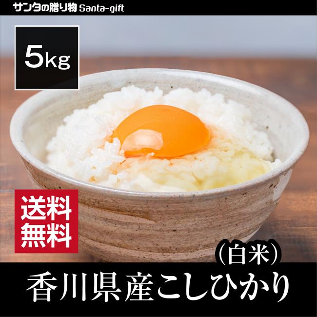 5kg 新米 香川県産 コシヒカリ 令和4年産 白米 3日営業日以内に発送 送料無料