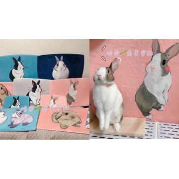 哈密兔事🐰補發/分裝包裹用/請先聊聊-勿隨意下單🍭