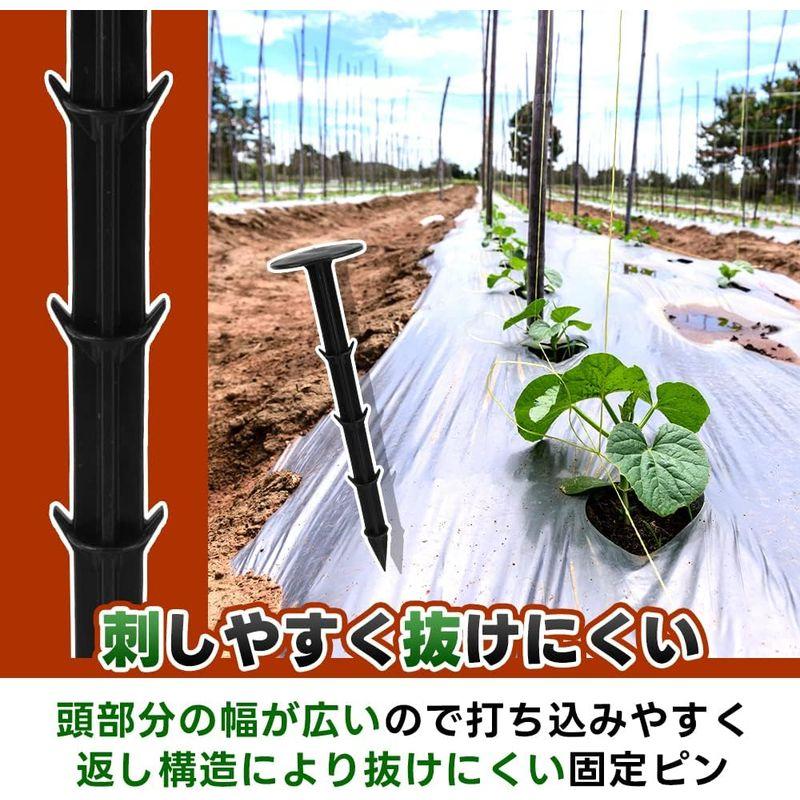 防草シート 固定ピン 入 押さえ 杭 軽量 錆びない 返し付き 園芸 柔らかい土用