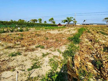 佳里成功路上低總價開心農場｜台南市佳里區港墘段