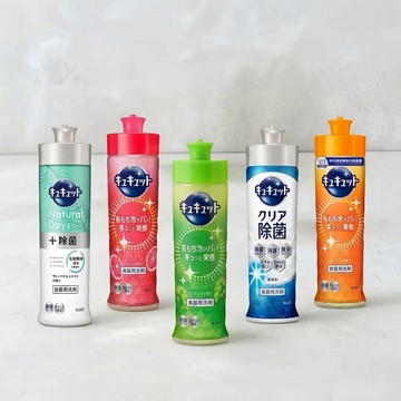 日本｜花王 kao 抗菌超濃縮潔淨洗碗凝露 240ml｜洗碗精 省水、省力、省時，又乾淨
