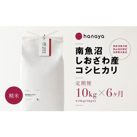 ふるさと納税 ＜定期便＞南魚沼しおざわ産コシヒカリ　従来品種　精米10ｋｇ(5kg×２)×全6回 新潟県南魚沼市