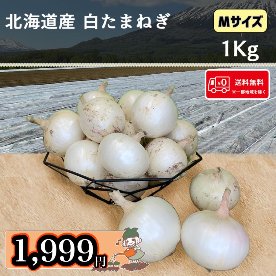 送料無料 北海道 富良野産 白玉ねぎ Mサイズ 1kg 新たまねぎ