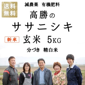 新米 減農薬 有機肥料 使用 お米 冷めても美味い 高勝の ササニシキ 宮城県桃生町産 5kg 令和５年産 選べる精米 玄米