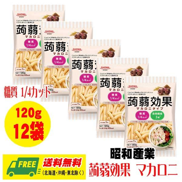 昭和産業 蒟蒻効果 こんにゃく グルコマンナン入り マカロニ 120g × 12袋 送料無料