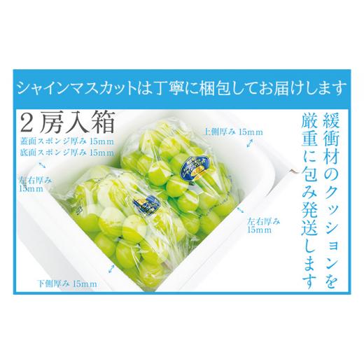 ふるさと納税 岡山県 瀬戸内市 ぶどう 2024年 先行予約 シャイン マスカット 晴王 2房（合計約1.1kg） 晴れの国 おかやま 岡山県産 フルーツ王国 果物王国 […