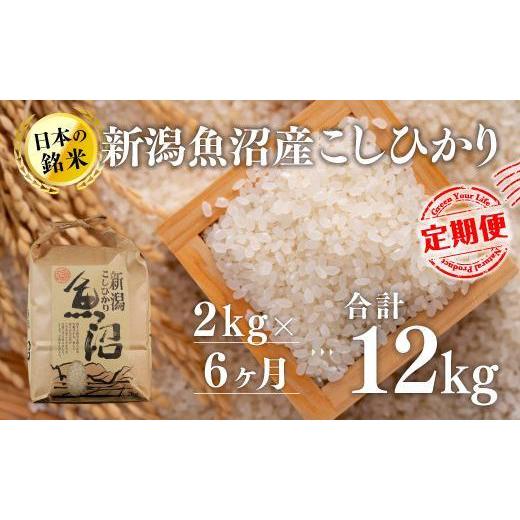 ふるさと納税 新潟県 十日町市 新潟魚沼産こしひかり（精米）2kg