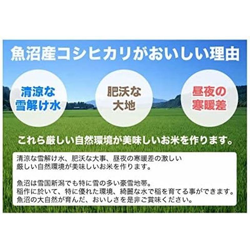 新潟県産 魚沼産コシヒカリ 白米 10kg (5kg×2 袋) 令和4年産