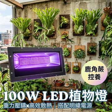 【君沛】7號光譜 100W 防水植物燈 抑制徒長 鹿角蕨控養 龍舌蘭 塊根 LED植物生長燈 陽台專業補光