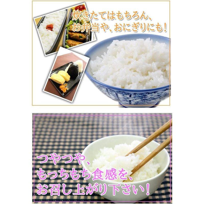 当日精米 お米 ミルキークイーン 5kg 白米 分づき可 兵庫県 但馬産 有機質肥料使用米 令和4年産米