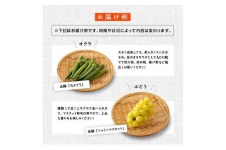 産直おすず村 季節の野菜と果物 厳選 詰め合わせセット（小）