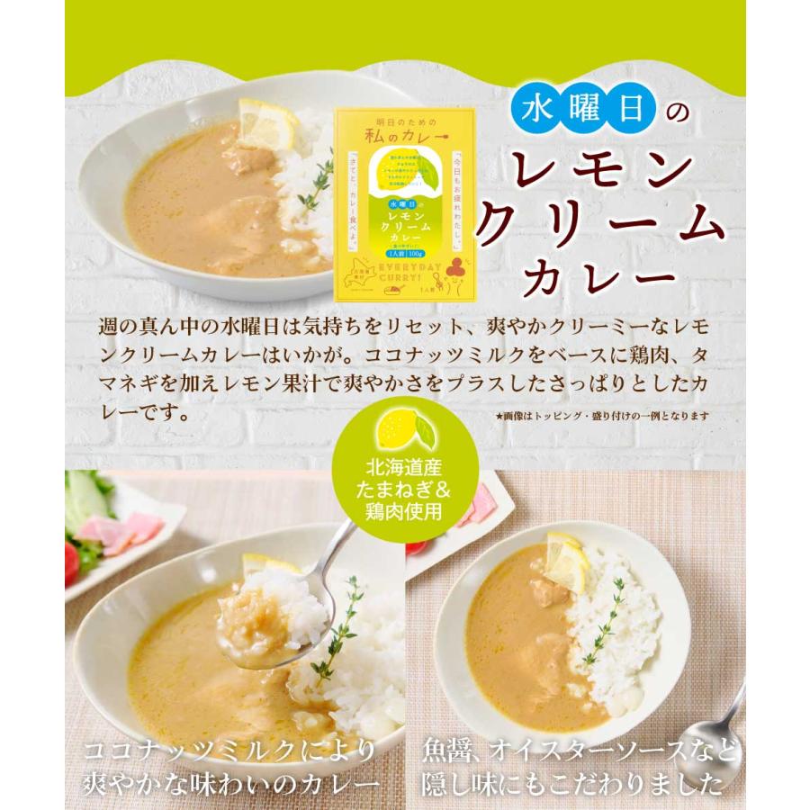 丸市岡田商店 明日のための私のカレー 100g 選べる2種セット メール便 送料無料 レトルトカレー ご当地 北海道産 お歳暮 御歳暮 クリスマス