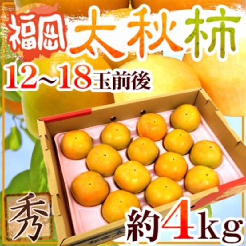 福岡産　秀品　約4kg【予約　12～18玉前後　LINEポイント最大2.0%GET　”太秋柿”　通販　送料無料　10月以降】　LINEショッピング