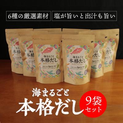 ふるさと納税 うるま市 ぬちまーすの「海まるごと本格だし」×9袋