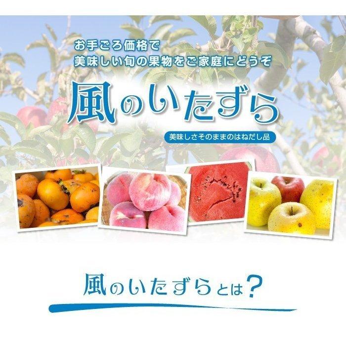 お歳暮 みかん 晩白柚 ばんぺいゆ 訳あり 2Lサイズ 2玉 熊本県産 JAやつしろ 化粧箱入り 柑橘　蜜柑 ギフト お取り寄せ