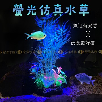 宏洋水族【螢光仿真水草】夜光水草 仿真造景 螢光水草 魚缸裝飾 水族造景 夜間增色 加重底座