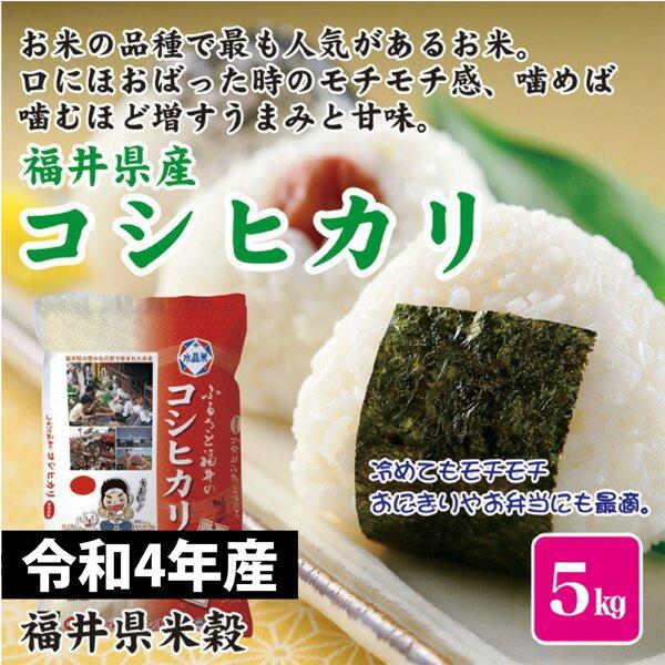 お米 米 新米 ５kg 令和5年産 福井県産 コシヒカリ こしひかり 福井県米穀