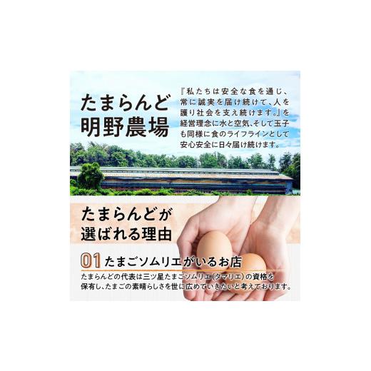 ふるさと納税 山梨県 北杜市 ☆彡3か月定期便☆彡　北杜のたまご（30個入）