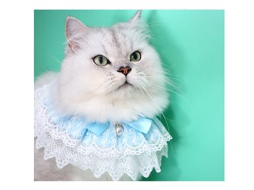 【iC原創】網紗寵物圍兜藍色珍珠