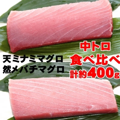 こだわりの天然ミナミマグロ　天然メバチマグロ食べくらべセット　中トロ各1柵