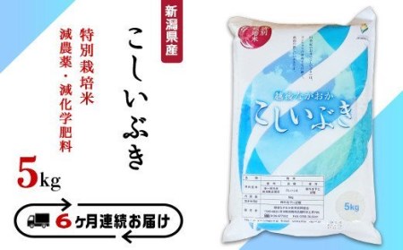 75-3K056新潟県長岡産特別栽培米こしいぶき5kg