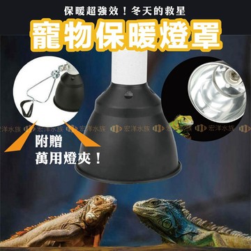 宏洋水族🔥贈燈夾【保溫燈罩】內拋光✅聚光熱 加乘效能〞寵物保暖燈罩、保暖燈 燈具 曬背燈 烏龜 陸龜 爬蟲 守宮 燈罩