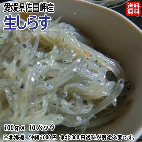 生しらす 1kg （100g×10p） 小分け 冷凍便 愛媛 佐田岬産 送料無料 浜から直送 無添加・無着色 宇和海の幸問屋