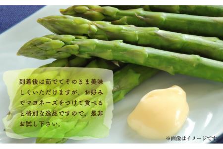 朝採り グリーンアスパラ 2L～3L 1kg (2024年5月下旬発送予定)