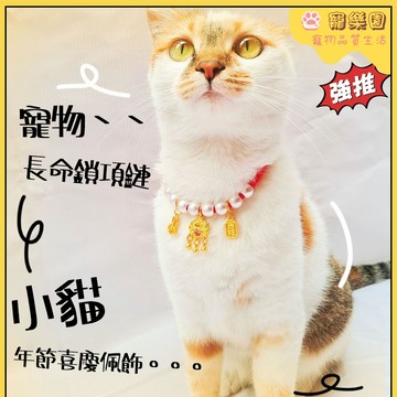 🎊【現貨/隔日達】貓咪項圈 貓咪長命鎖鈴鐺項圈 狗狗過年項圈 寵物項圈 寵物脖圈 可雙向調節 狗狗配飾 貓咪吉祥項圈