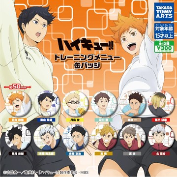 【排球少年🏐】免運 TTA 排球少年 熱身訓練 扭蛋 吧唧徽章 日嚮翔陽 週邊