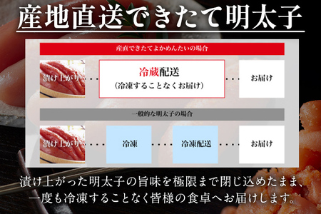 生 辛子明太子 1本もの（真子） 博多よかめんたい 贈答用 500g 博多 よかめんたい 生 明太子 めんたいこ ご飯のお供 おかず 惣菜 魚介 海鮮 九州 福岡 博多 お取り寄せ グルメ 冷蔵 送料無料