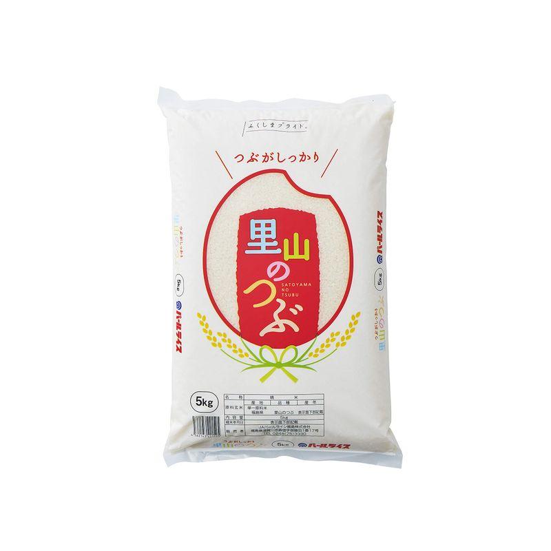 精米 福島県産 白米 里山のつぶ 5kg 令和4年産