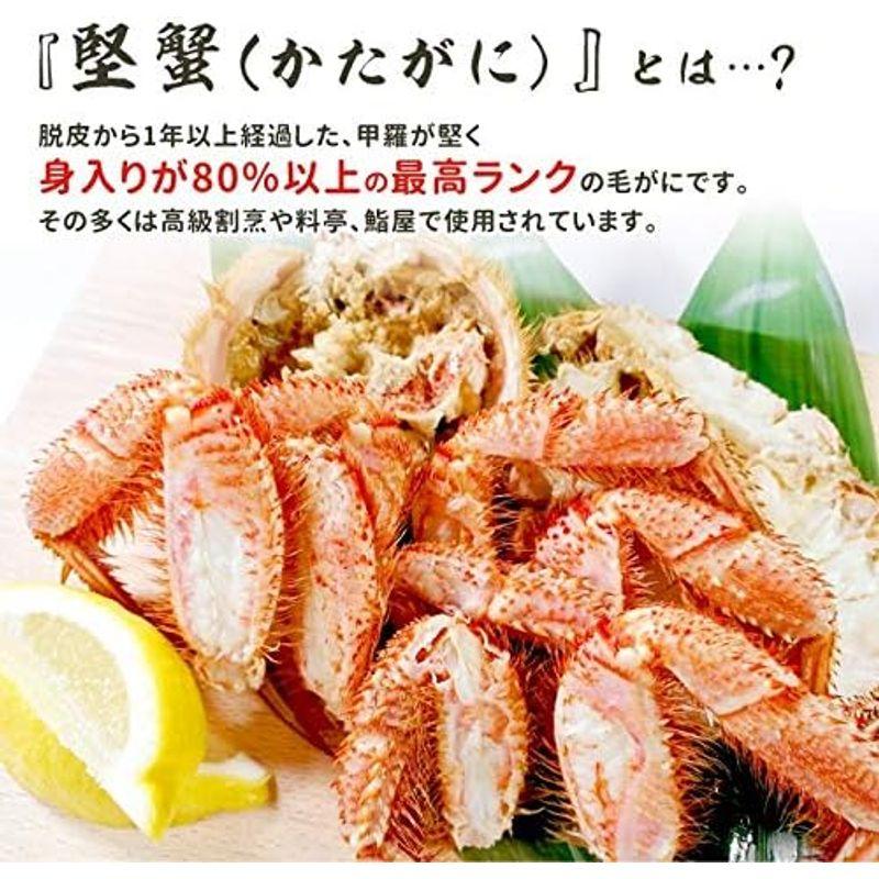 岩松水産 ボイル毛がに 特大 約500g 2ハイ