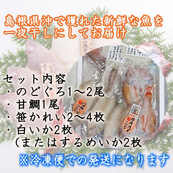 (地域限定送料無料)ギフト 干物セット 産地直送 岡富商店 「一日漁」一夜干　吉祥天(のどぐろ1〜2尾・甘鯛1尾・笹かれい2〜4枚・白いか2枚） 冷凍(sot102)