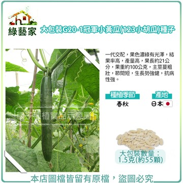 【綠藝家】大包裝G20-1.冠軍小黃瓜(123小胡瓜)種子F1果色濃綠有光澤 結果率高 產量高 果長約21公分