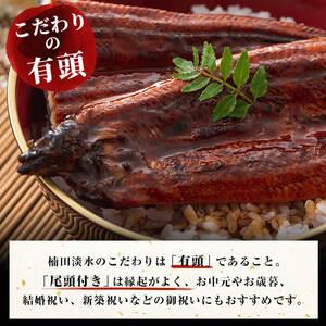 ふるさと納税 楠田の極うなぎ 蒲焼き150g以上×4尾(計600g以上) b6-010 鹿児島県志布志市