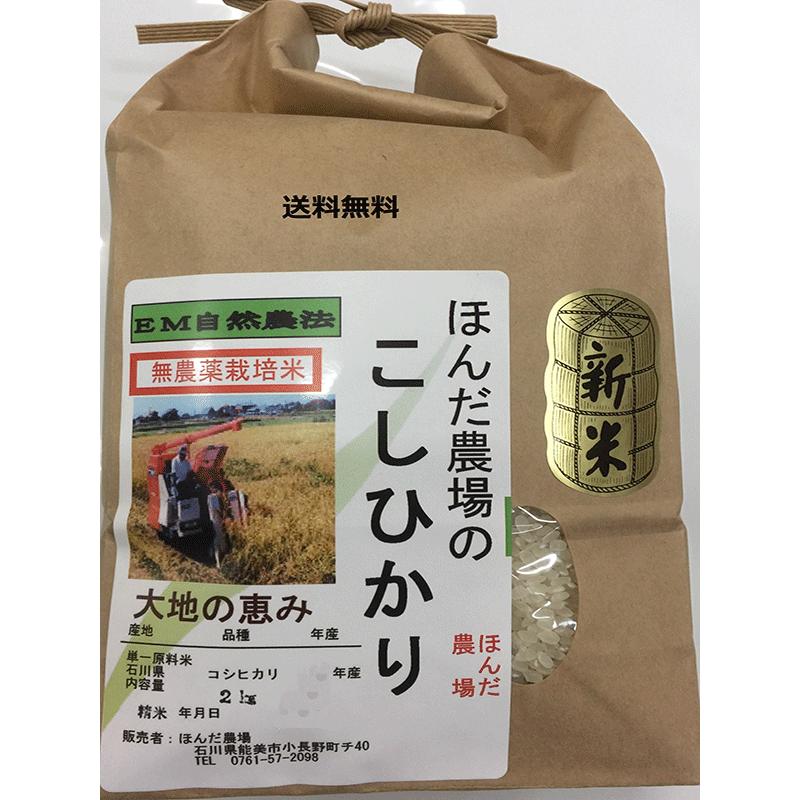 令和5年産 新米 無農薬栽培米こしひかり 白米 2kg  「大地の恵」 自然農法 栽培米