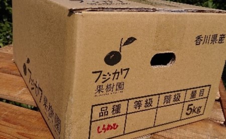 低温貯蔵ハウス不知火　約5kg