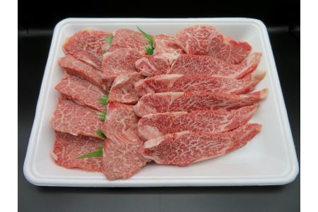 佐賀牛ヒレ焼肉用(切落し)600gOM0003